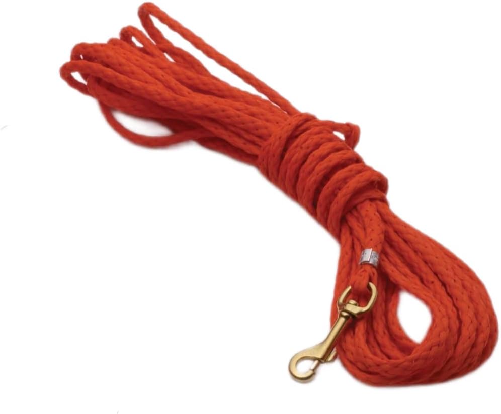Dokken PuppyCheck30 2-in-1 Check Cord
